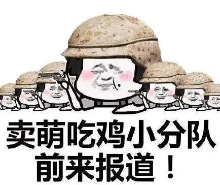 揭秘吃鸡卡盟辅助：法律边缘的诱惑与道德的抉择，你的游戏公平性